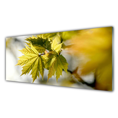 Acrylglasbilder Blätter Pflanzen