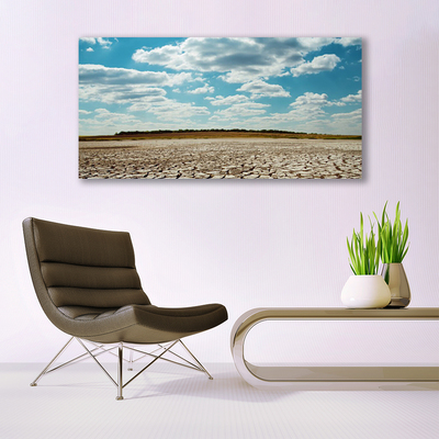 Acrylglasbilder Wüste Landschaft