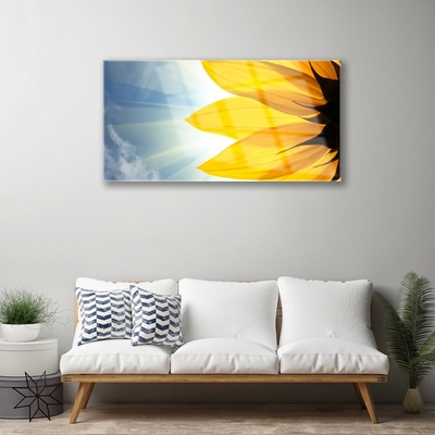 Acrylglasbilder Blütenblätter Pflanzen