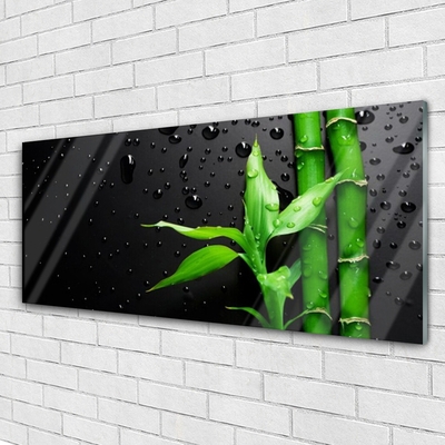 Acrylglasbilder Bambus Blätter Pflanzen
