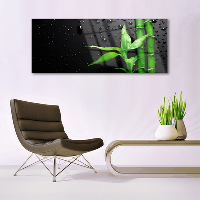 Acrylglasbilder Bambus Blätter Pflanzen