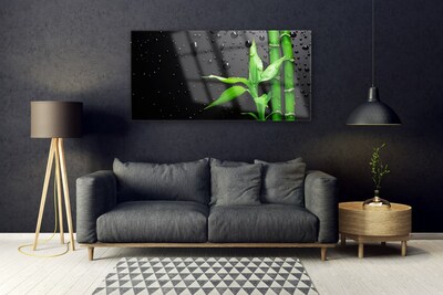 Acrylglasbilder Bambus Blätter Pflanzen