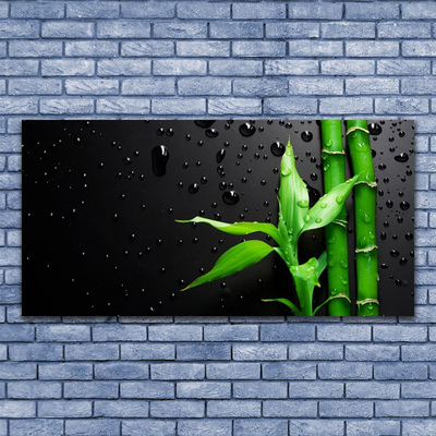 Acrylglasbilder Bambus Blätter Pflanzen