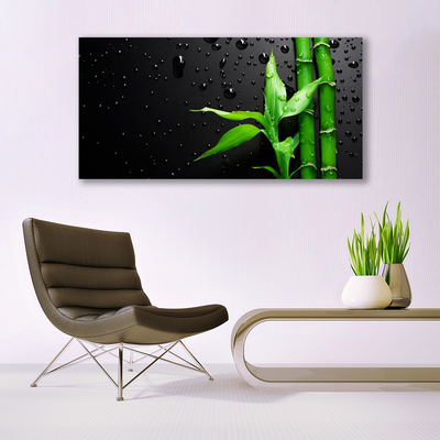 Acrylglasbilder Bambus Blätter Pflanzen