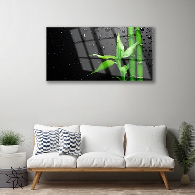 Acrylglasbilder Bambus Blätter Pflanzen