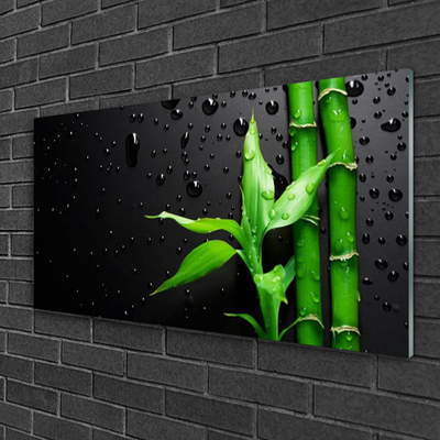 Acrylglasbilder Bambus Blätter Pflanzen