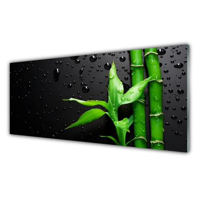 Acrylglasbilder Bambus Blätter Pflanzen