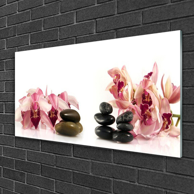 Acrylglasbilder Blumen Steine Kunst