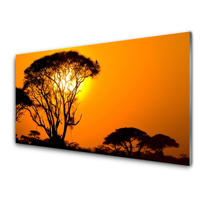 Acrylglasbilder Bäume Sonne Natur