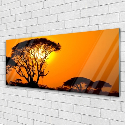 Acrylglasbilder Bäume Sonne Natur