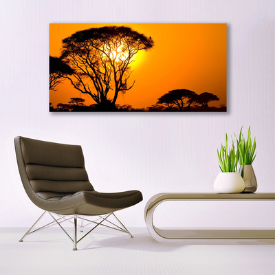 Acrylglasbilder Bäume Sonne Natur