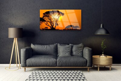 Acrylglasbilder Bäume Sonne Natur
