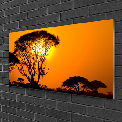 Acrylglasbilder Bäume Sonne Natur