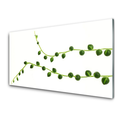 Acrylglasbilder Zierpflanze Pflanzen