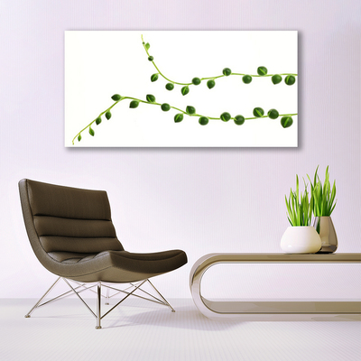 Acrylglasbilder Zierpflanze Pflanzen