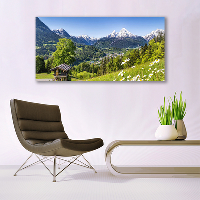 Acrylglasbilder Gebirge Felder Natur