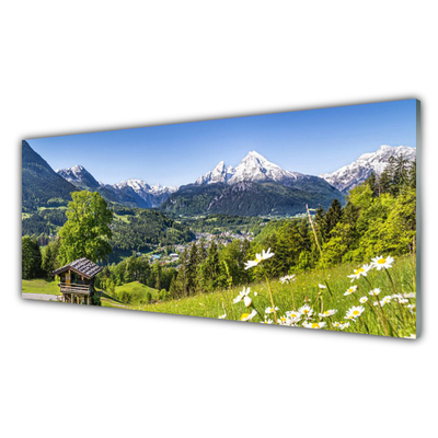 Acrylglasbilder Gebirge Felder Natur