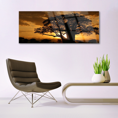 Acrylglasbilder Baum Natur
