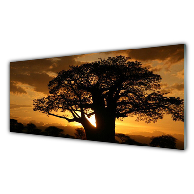 Acrylglasbilder Baum Natur