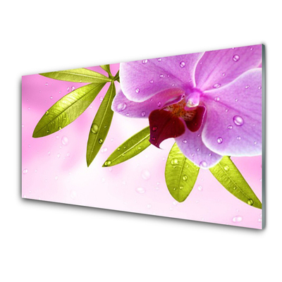 Acrylglasbilder Blume Blätter Pflanzen