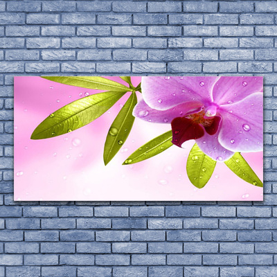 Acrylglasbilder Blume Blätter Pflanzen