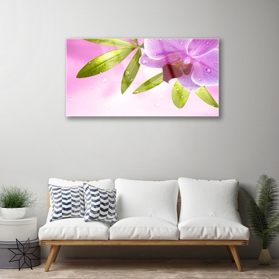 Acrylglasbilder Blume Blätter Pflanzen