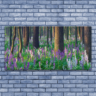 Acrylglasbilder Wald Blumen Natur