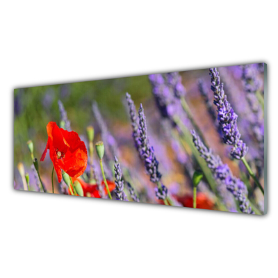 Acrylglasbilder Blumen Pflanzen