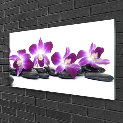 Acrylglasbilder Blumen Steine Kunst