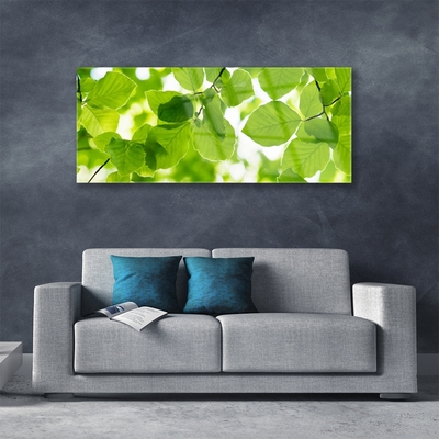 Acrylglasbilder Blätter Pflanzen