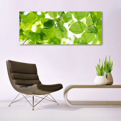 Acrylglasbilder Blätter Pflanzen