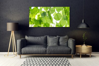 Acrylglasbilder Blätter Pflanzen
