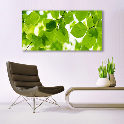 Acrylglasbilder Blätter Pflanzen