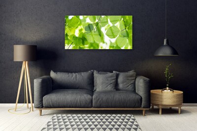 Acrylglasbilder Blätter Pflanzen
