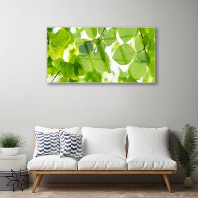 Acrylglasbilder Blätter Pflanzen