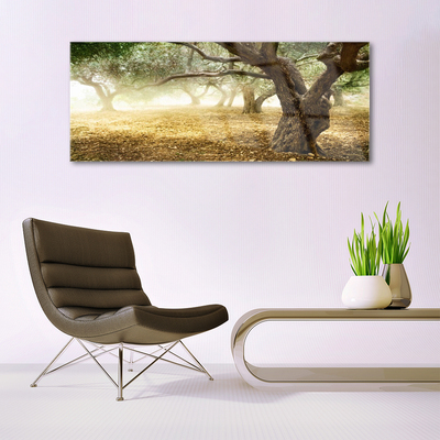 Acrylglasbilder Bäume Gras Natur