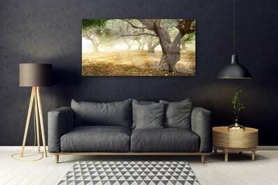 Acrylglasbilder Bäume Gras Natur