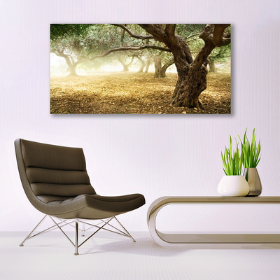 Acrylglasbilder Bäume Gras Natur