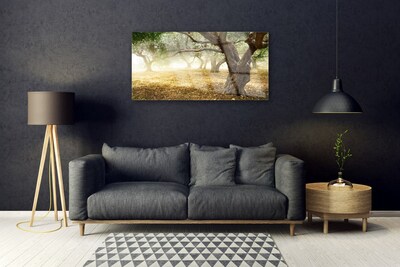 Acrylglasbilder Bäume Gras Natur