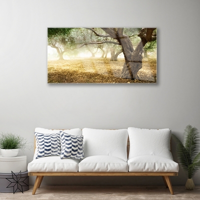 Acrylglasbilder Bäume Gras Natur