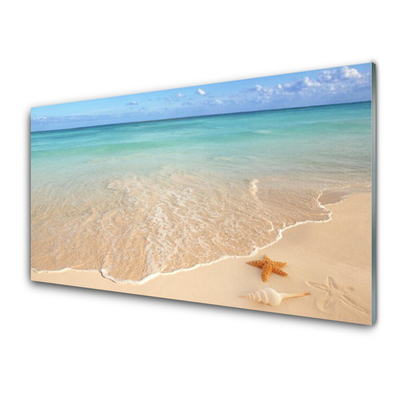 Acrylglasbilder Meer Strand Seestern Landschaft