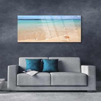 Acrylglasbilder Meer Strand Seestern Landschaft