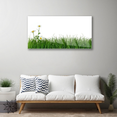 Acrylglasbilder Gras Natur