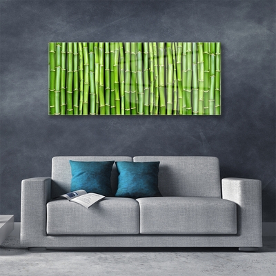 Acrylglasbilder Bambus Pflanzen