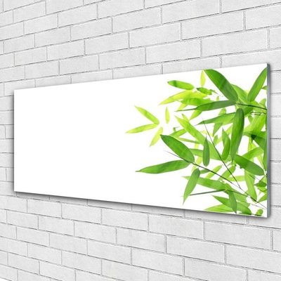 Acrylglasbilder Blätter Pflanzen