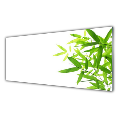 Acrylglasbilder Blätter Pflanzen