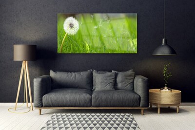 Acrylglasbilder Pusteblume Gras Pflanzen