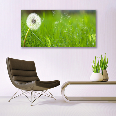 Acrylglasbilder Pusteblume Gras Pflanzen