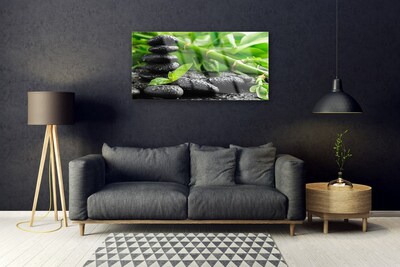 Acrylglasbilder Bambus Steine Pflanzen
