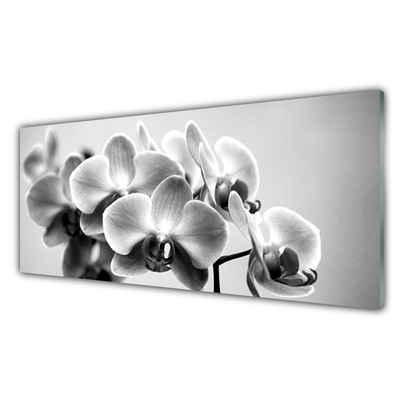 Acrylglasbilder Blumen Pflanzen